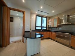 Ardmore Park (D10), Condominium #501873161